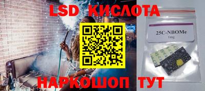 шишки Изобильный