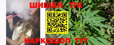 шишки Изобильный