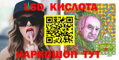 шишки Изобильный