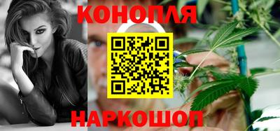 шишки Изобильный