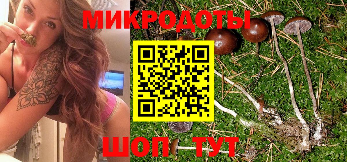 Краснодар  Галлюциногенные грибы Psilocybe  Вход с VPN 